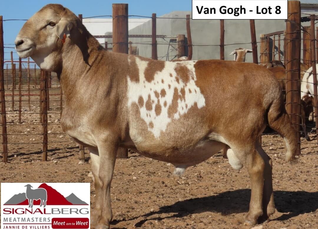 VanGogh-Lot8 Van Gogh - Lot 8